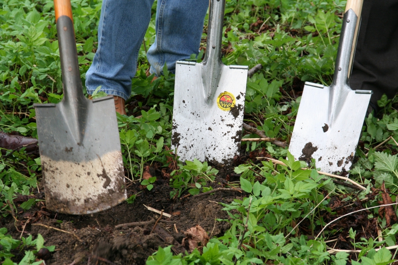 pepiniere-TOURTOUR-min_work-lawn-flower-tool-green-backyard-1103633-pxhere.com